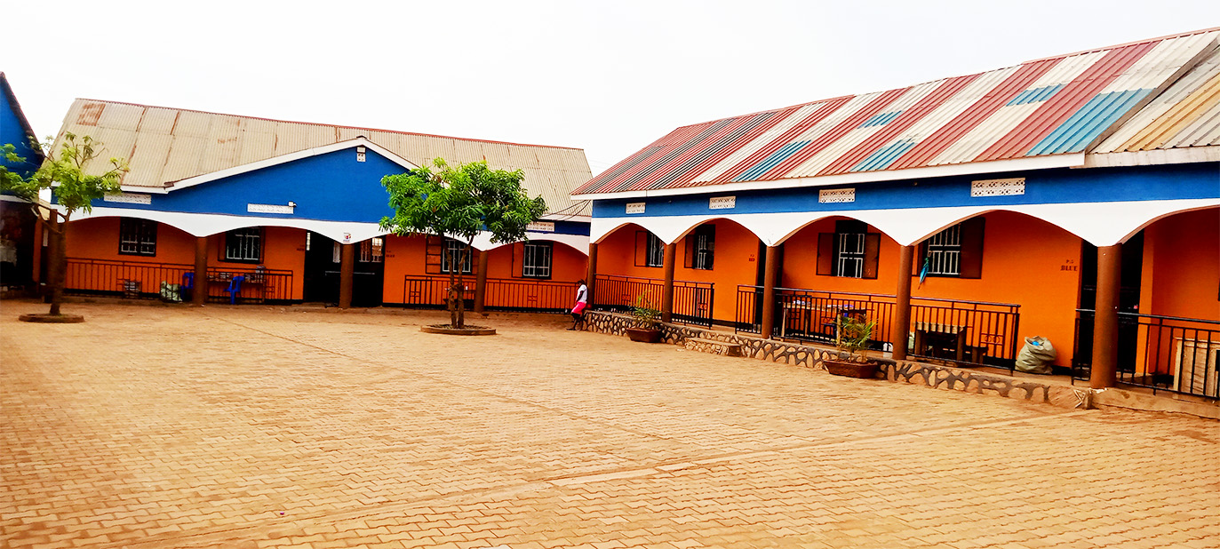 Education background